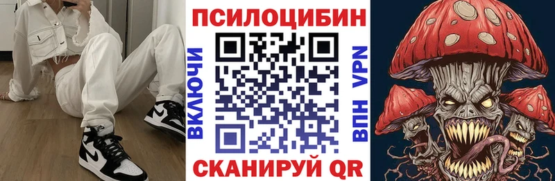 Псилоцибиновые грибы Psilocybe  что такое   Балей 